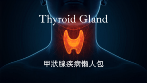 甲狀腺疾病懶人包